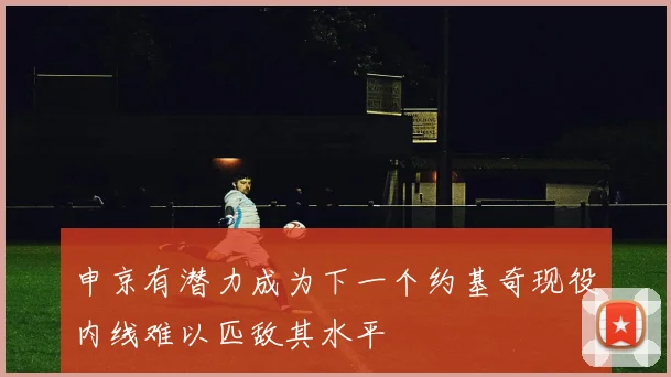 申京有潜力成为下一个约基奇现役内线难以匹敌其水平