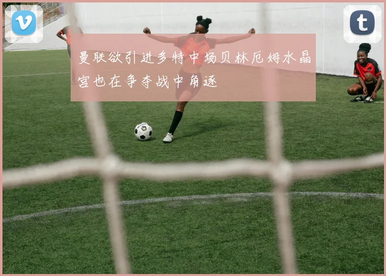 曼联欲引进多特中场贝林厄姆水晶宫也在争夺战中角逐