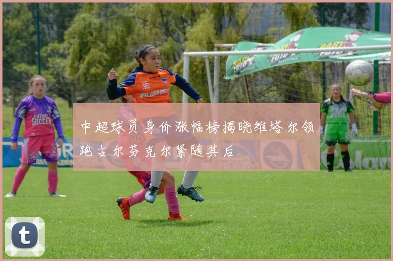 中超球员身价涨幅榜揭晓维塔尔领跑古尔芬克尔紧随其后