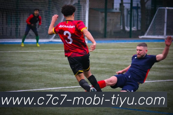 C7C7娱乐平台生态图